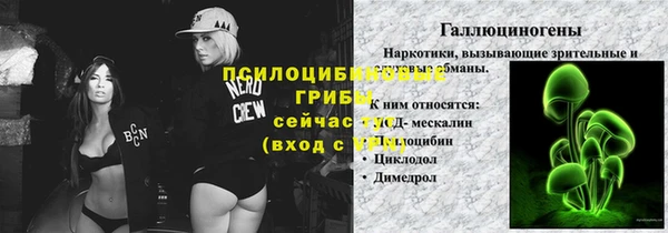 ECSTASY Армянск